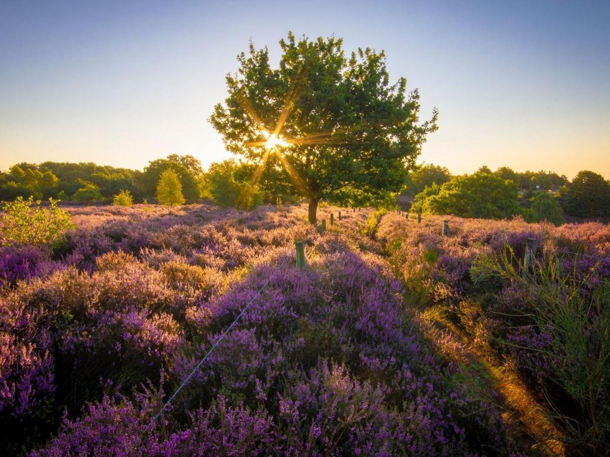 ホテル Landal Gooise Heide ハイゼン エクステリア 写真
